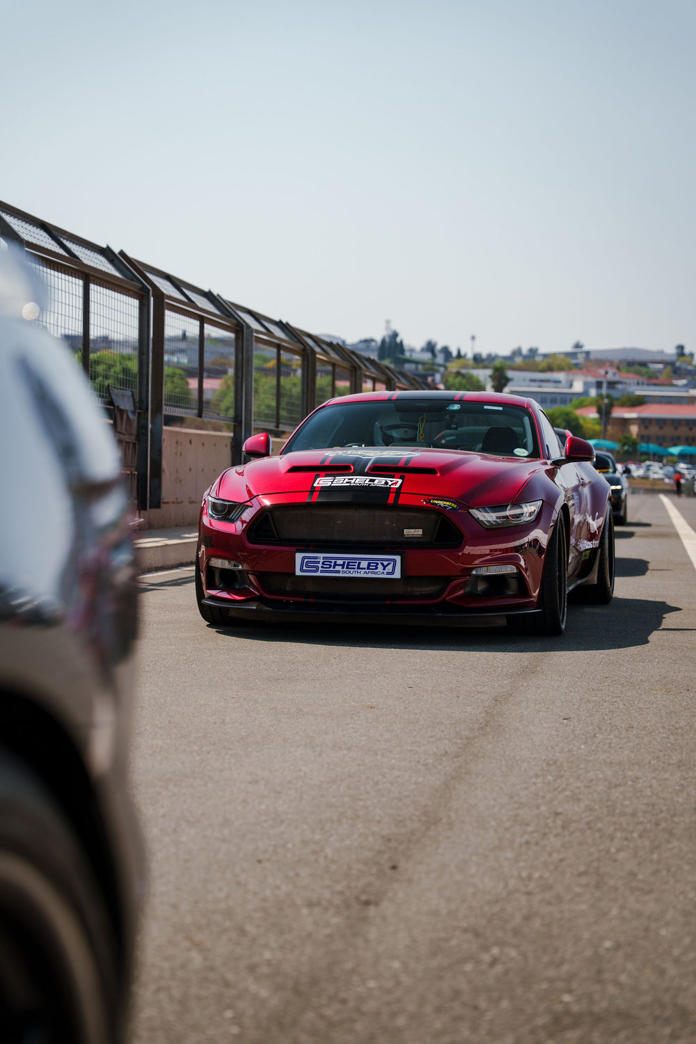 Festival of Motoring